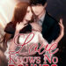 love knows no bounds novel book cover image