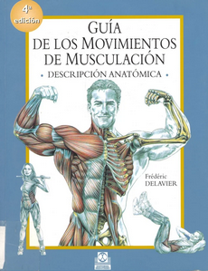 Guía de movimientos de musculación pdf image
