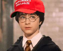 are you a true potterhead quiz image