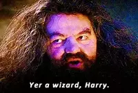ISFP Rubeus Hagrid harry potter characters image