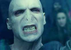 which harry potter character are you quiz - radcliffe