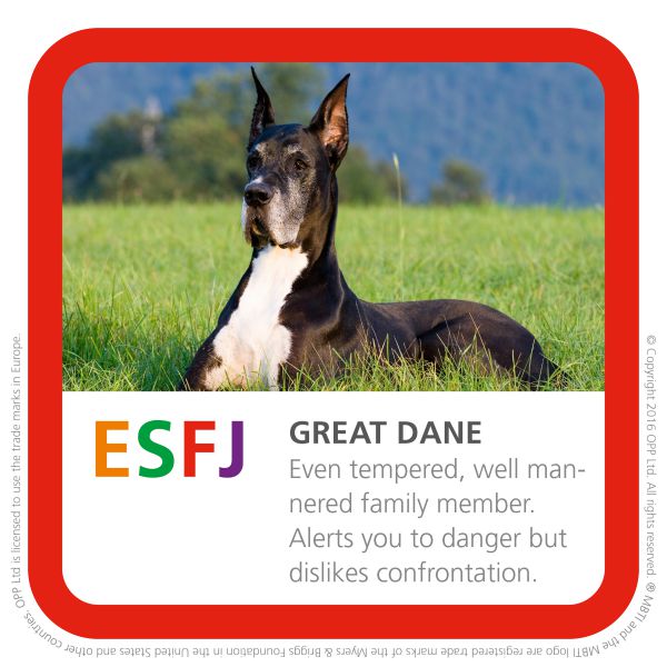 ESFJ great dane dog breed picture