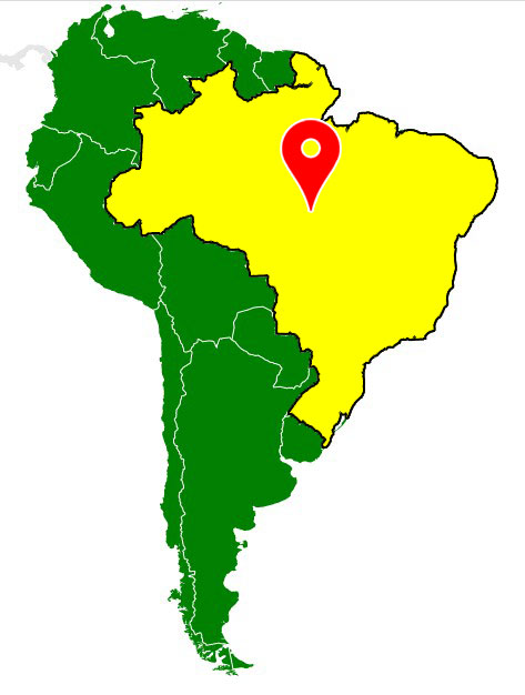 south america map - brazil-blank-map