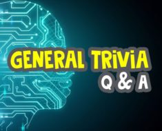 general-trivia-questions-and-answers brain image