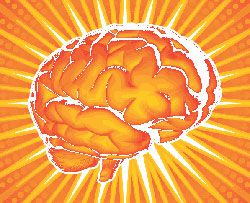 general-trivia-questions brain image