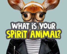 what-is-my-spirit-animal-quiz image