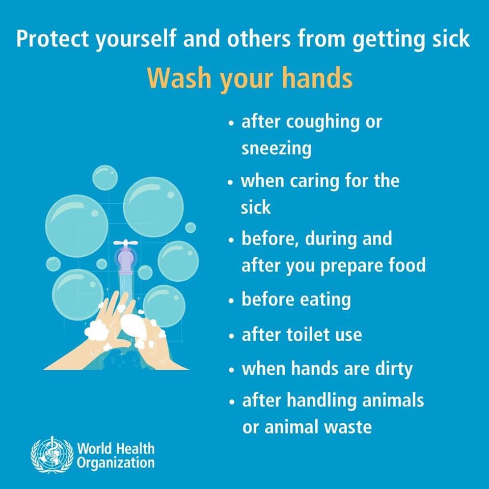 World Health Organization (WHO) safety precautions from getting sick graphic image