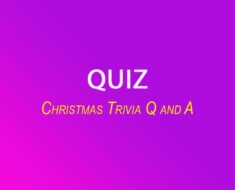 Christmas Trivia Questions and Answers 3 image