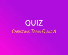 Christmas Trivia Questions and Answers 1 image